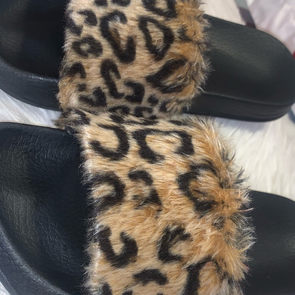 Slides - Picture 4 of 5